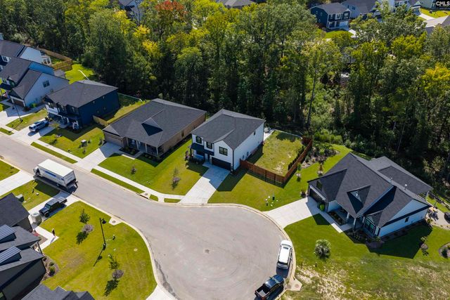 8 Elk Run Court, Chapin, SC 29036
