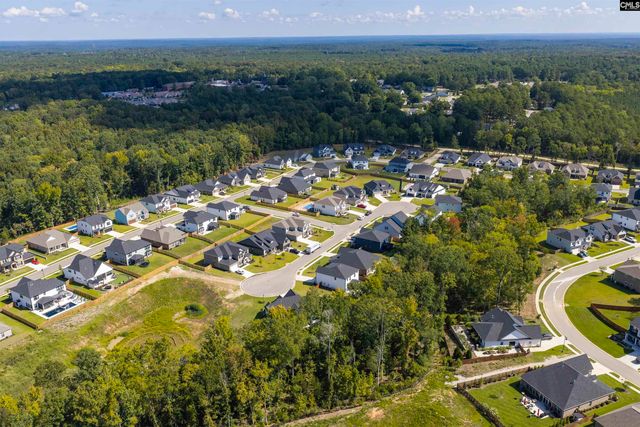 8 Elk Run Court, Chapin, SC 29036