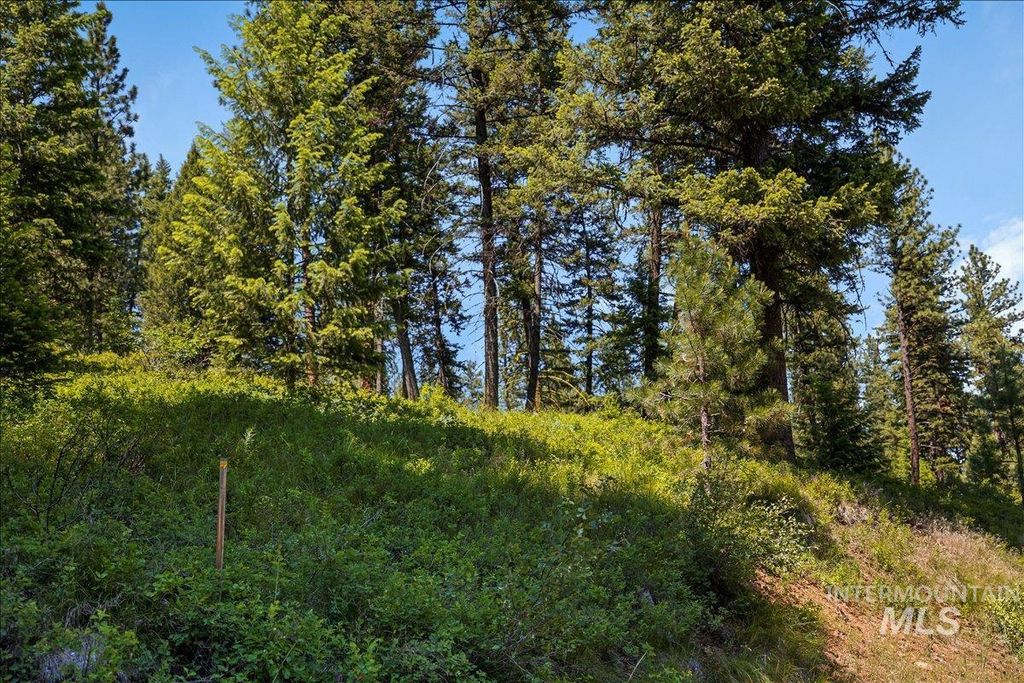 L5 B29 Sorrel Dr, New Meadows, ID 83654 photo 10