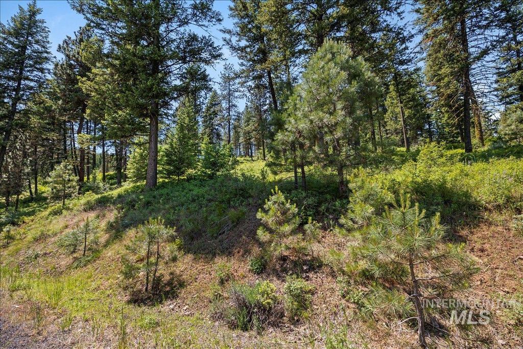 L5 B29 Sorrel Dr, New Meadows, ID 83654 photo 15