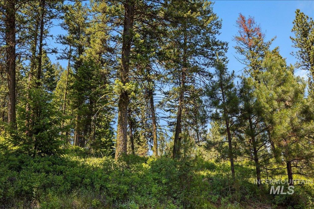 L5 B29 Sorrel Dr, New Meadows, ID 83654 photo 16