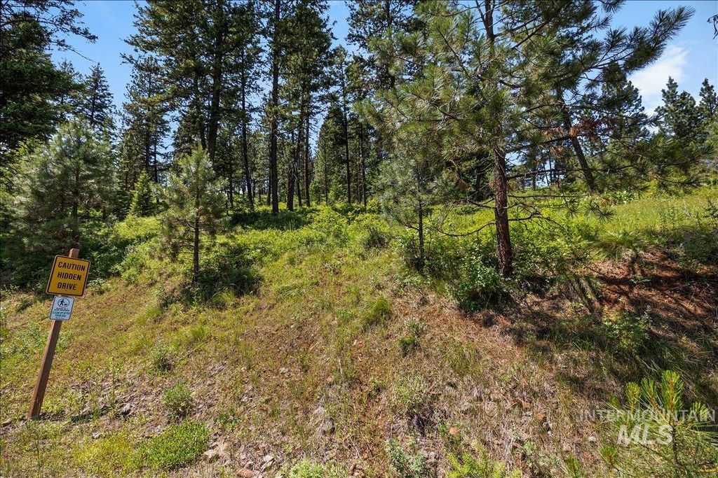 L5 B29 Sorrel Dr, New Meadows, ID 83654 photo 17