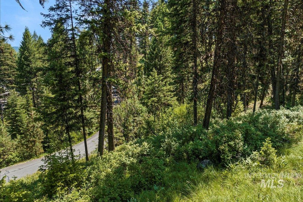 L5 B29 Sorrel Dr, New Meadows, ID 83654 photo 18