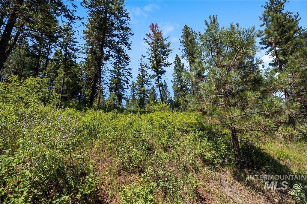 L5 B29 Sorrel Dr, New Meadows, ID 83654 photo 19