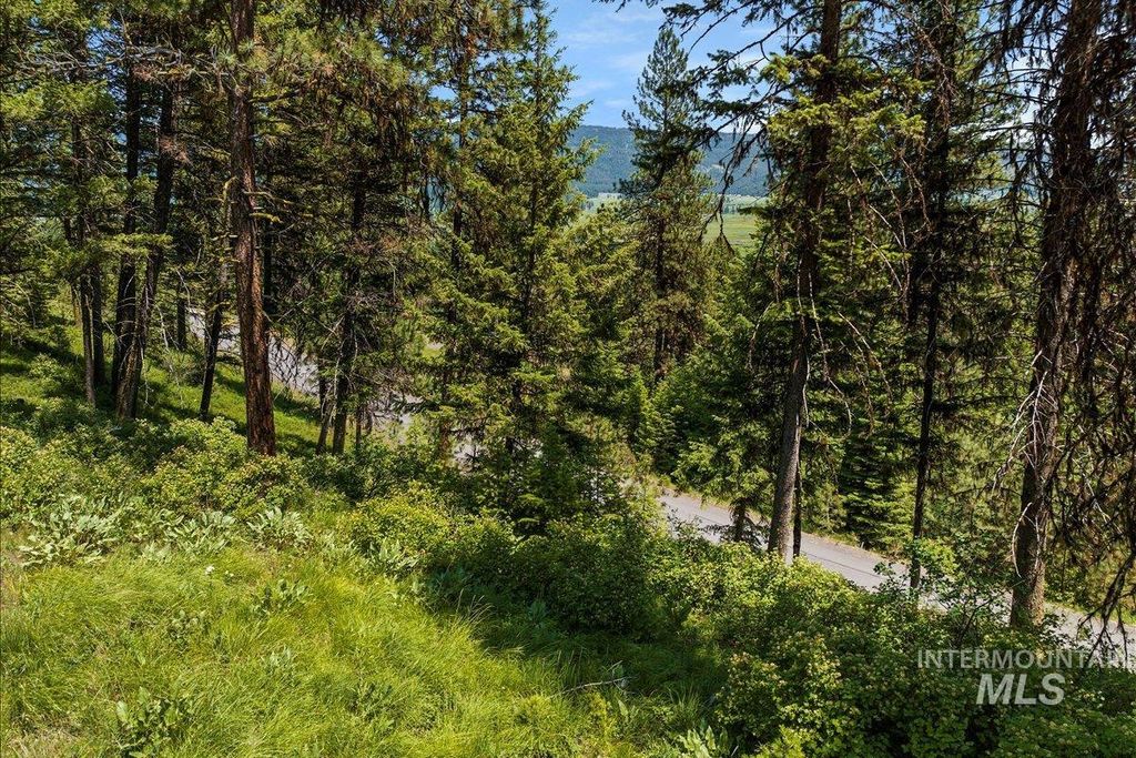 L5 B29 Sorrel Dr, New Meadows, ID 83654 photo 2