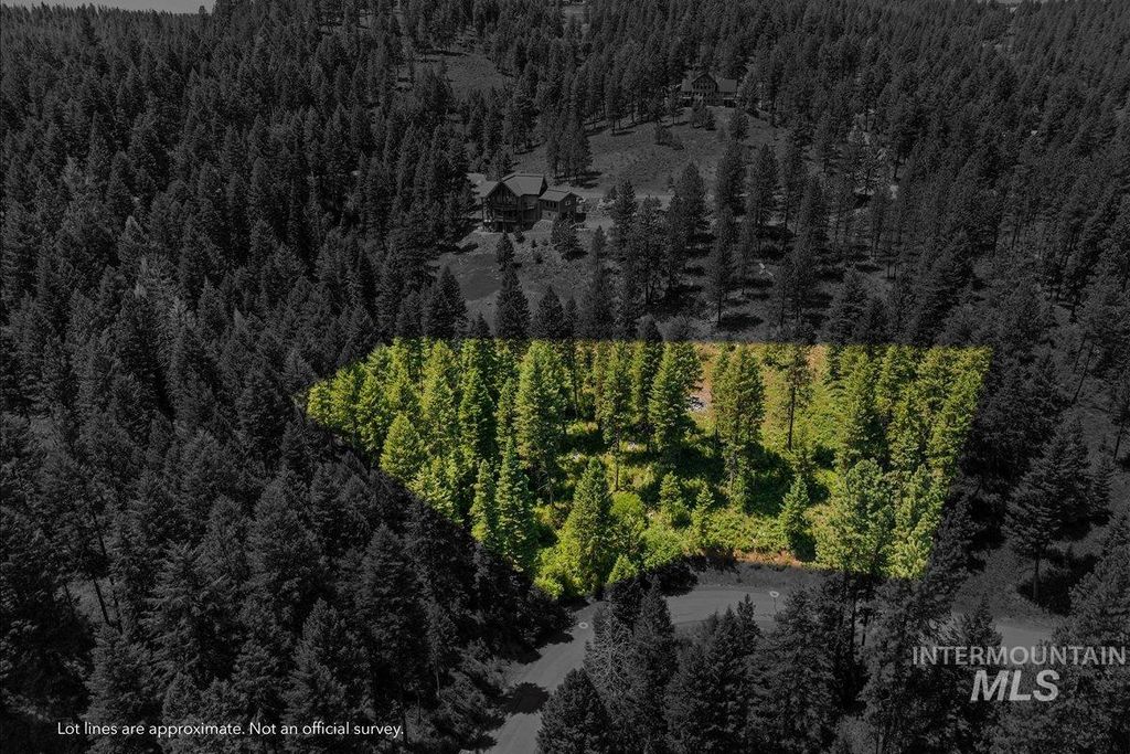 L5 B29 Sorrel Dr, New Meadows, ID 83654 photo 3