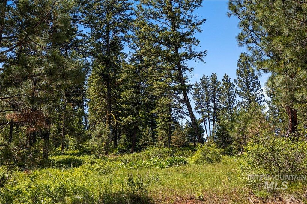 L5 B29 Sorrel Dr, New Meadows, ID 83654 photo 7