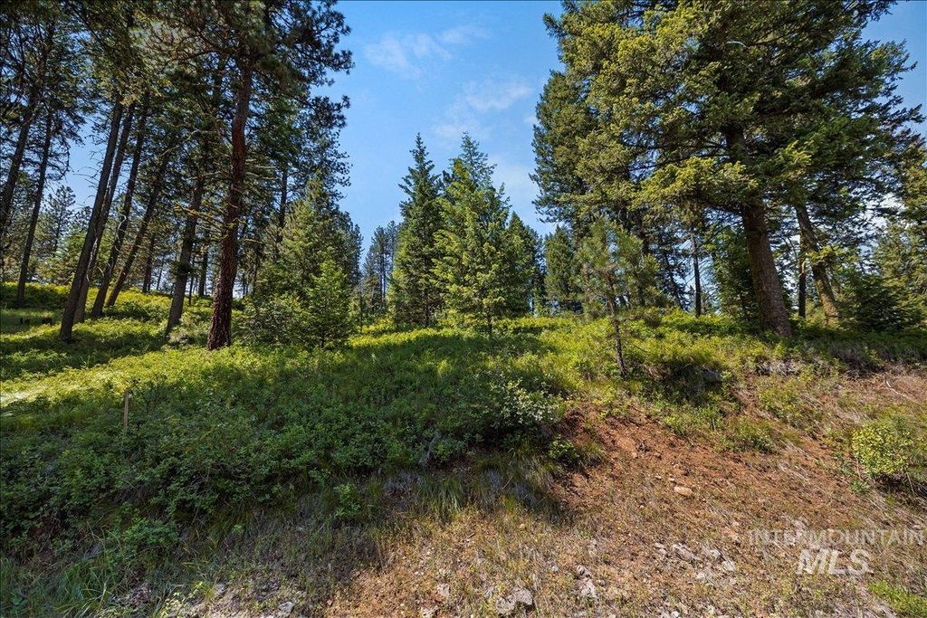 L5 B29 Sorrel Dr, New Meadows, ID 83654 photo 8
