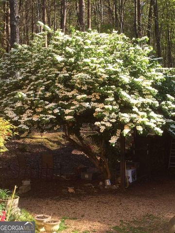 237 Nugget Ridge Road, Dawsonville, GA 30534