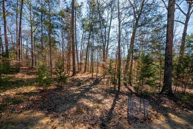 149 Seven Drive, Chapin, SC 29036