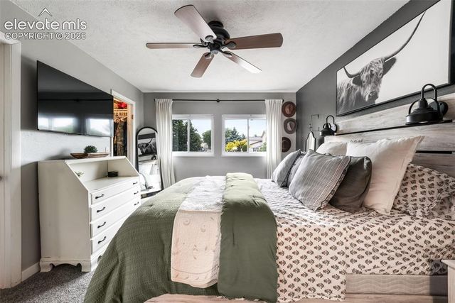 7175 Woody Creek Drive, Colorado Springs, CO 80911