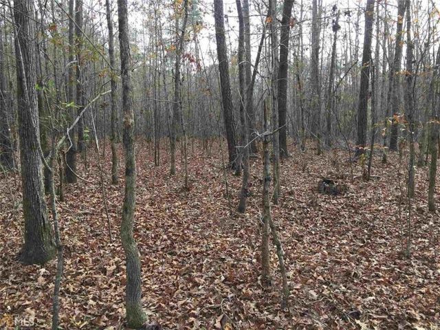 393 Stallsworth Road, Mcdonough, GA 30252