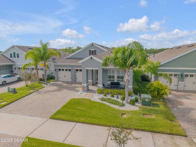 206 Venetian Palms Boulevard, New Smyrna Beach, FL 32168