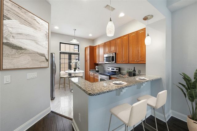 2217 SOHO BAY COURT, Tampa, FL 33606