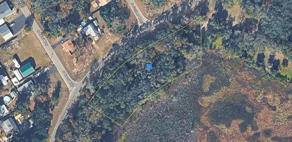 8687 E GOSPEL ISLAND ROAD, Inverness, FL 34450