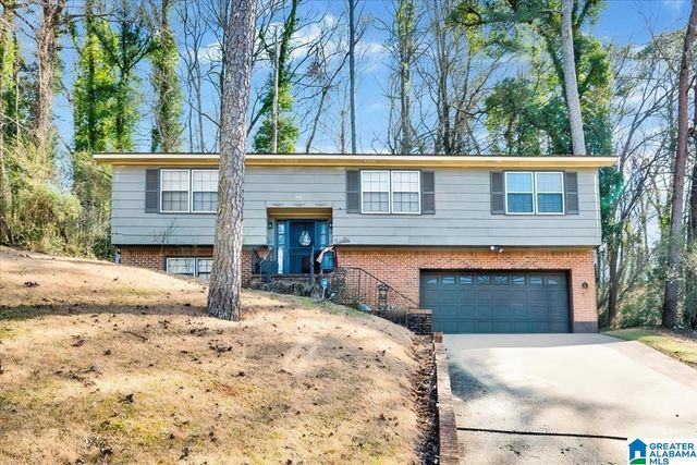 1001 TAMMY ANNE DRIVE, Birmingham, AL 35235