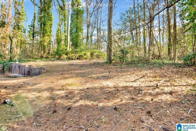 1001 TAMMY ANNE DRIVE, Birmingham, AL 35235