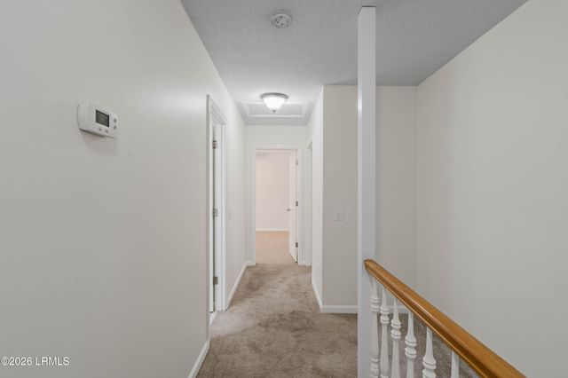 11 Redwood Lane, Beaufort, SC 29907