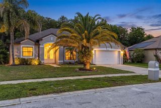 19160 TIMBER PINE LANE, Orlando, FL 32833