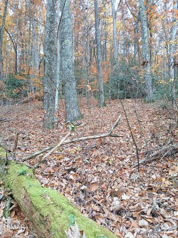Lot 3 Rocky Ridge Road, Cosby, TN 37722