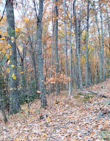 Lot 3 Rocky Ridge Road, Cosby, TN 37722
