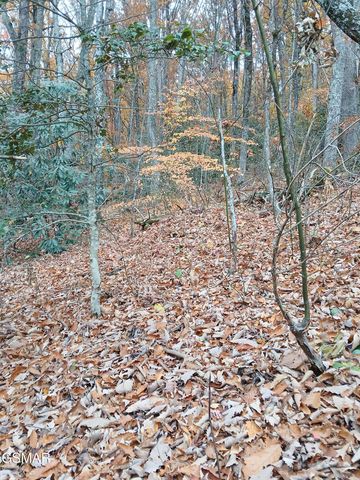 Lot 3 Rocky Ridge Road, Cosby, TN 37722