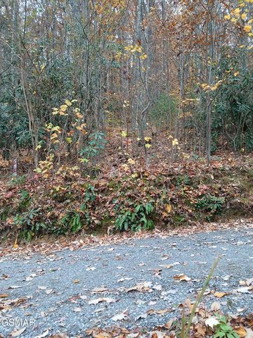 Lot 3 Rocky Ridge Road, Cosby, TN 37722