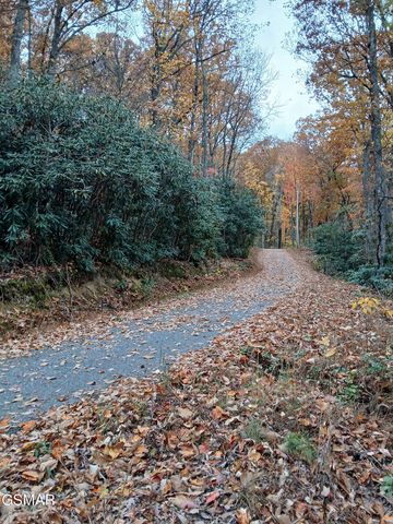 Lot 3 Rocky Ridge Road, Cosby, TN 37722