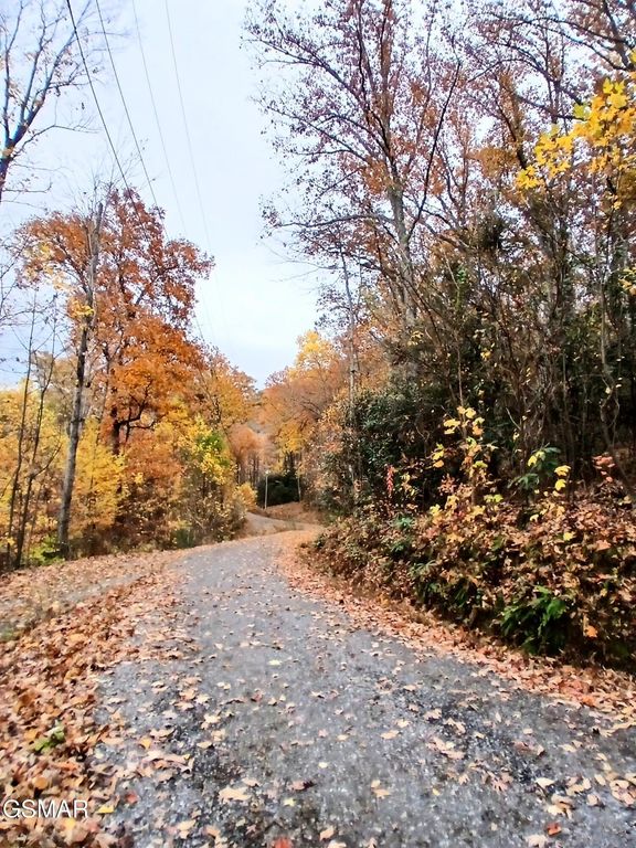 Lot 3 Rocky Ridge Road, Cosby, TN 37722