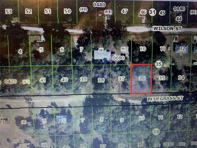 2406 BLUEGRASS STREET, Inverness, FL 34453