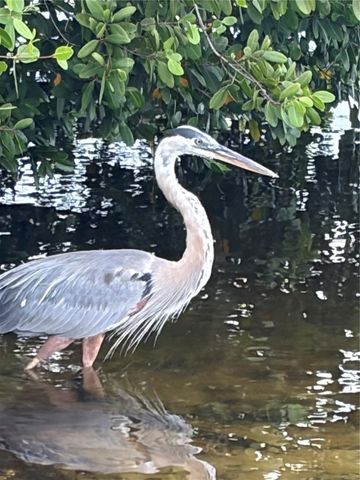 4300 RIVERSIDE DRIVE 109, Punta Gorda, FL 33982