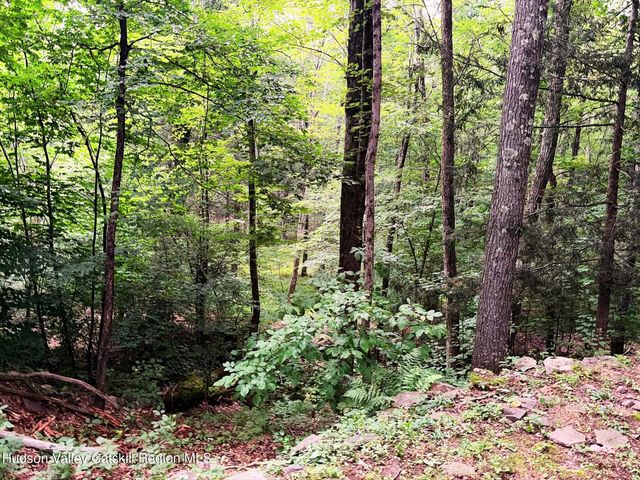 157 Bross Street, Cairo, NY 12413