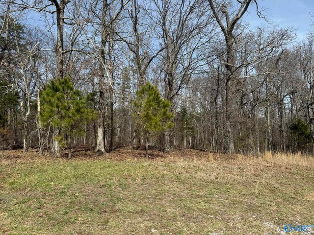 2300 County Road 131, Bryant, AL 35958