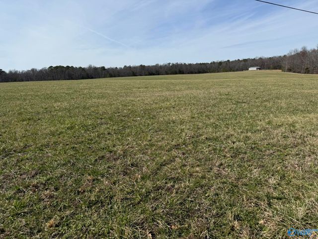 2300 County Road 131, Bryant, AL 35958