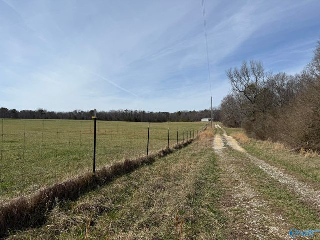 2300 County Road 131, Bryant, AL 35958