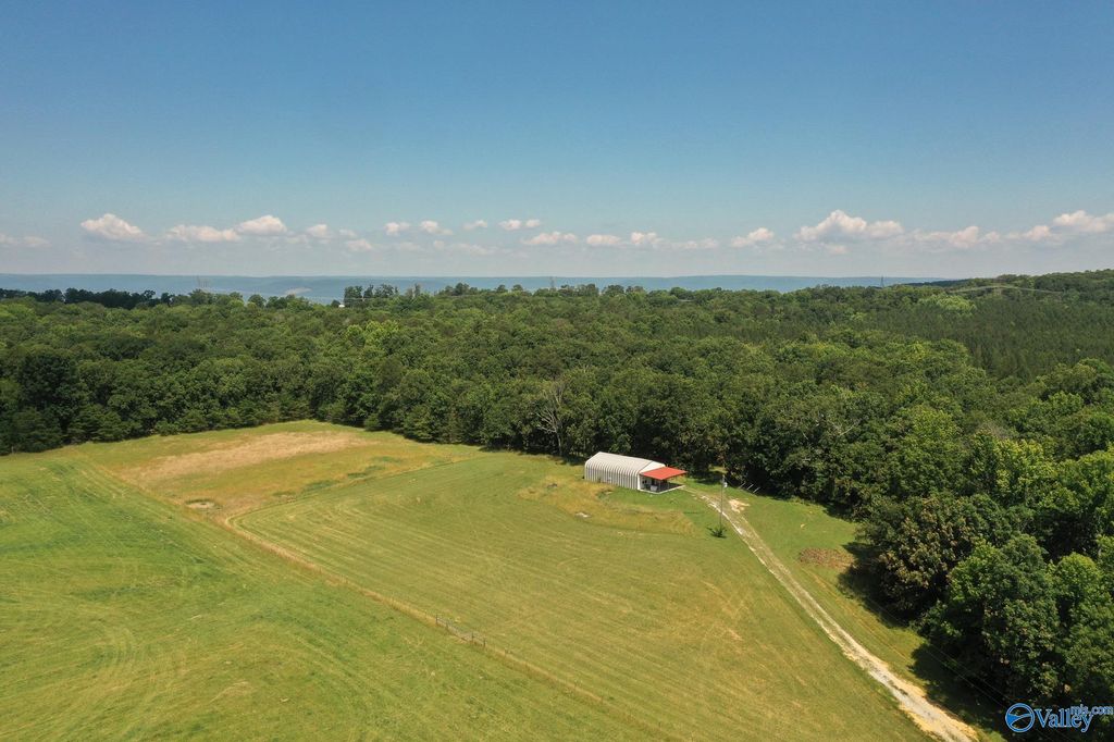 2300 County Road 131, Bryant, AL 35958