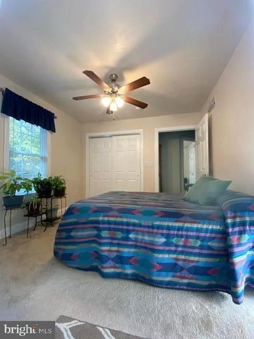 3837 GRACES CABIN, Springfield, WV 26763