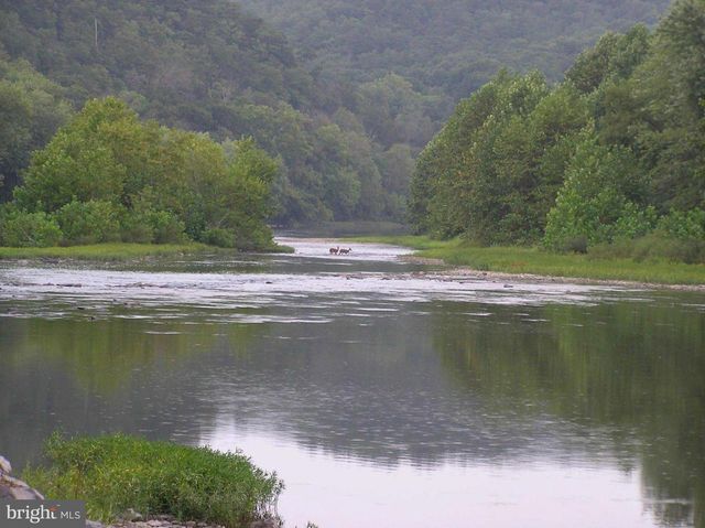 3837 GRACES CABIN, Springfield, WV 26763