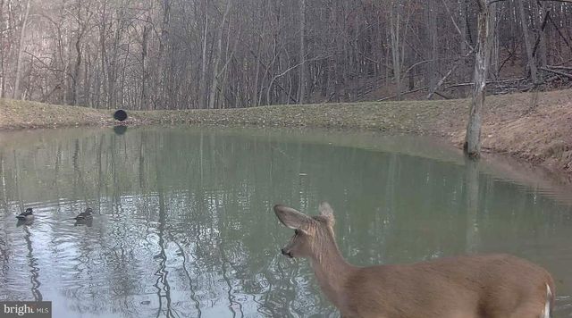 3837 GRACES CABIN, Springfield, WV 26763