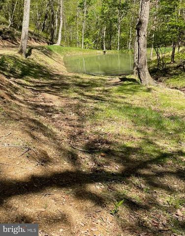 3837 GRACES CABIN, Springfield, WV 26763