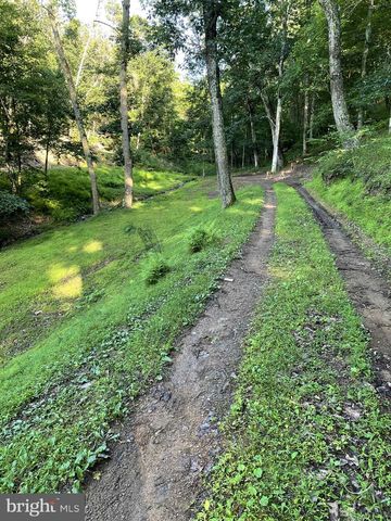 3837 GRACES CABIN, Springfield, WV 26763