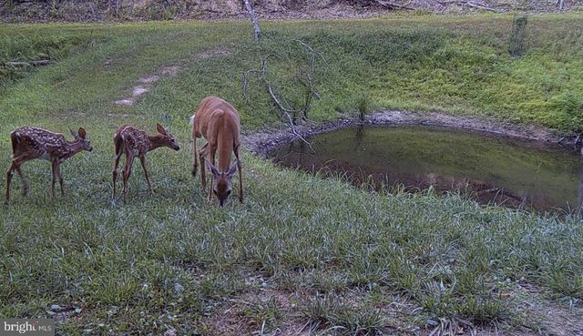 3837 GRACES CABIN, Springfield, WV 26763