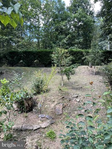 3837 GRACES CABIN, Springfield, WV 26763