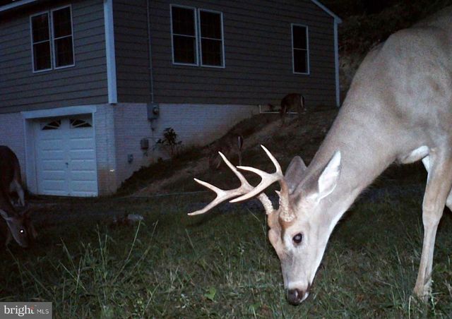 3837 GRACES CABIN, Springfield, WV 26763