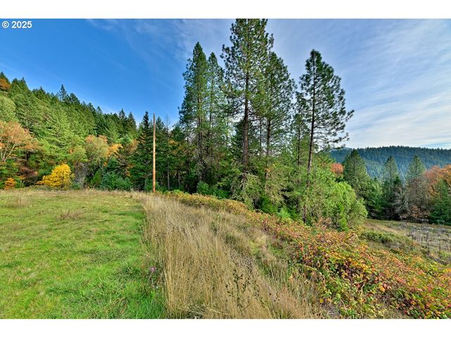 2150 BRIDGE Ln, Wolf Creek, OR 97497