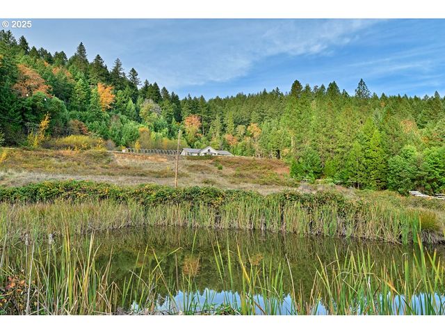 2150 BRIDGE Ln, Wolf Creek, OR 97497
