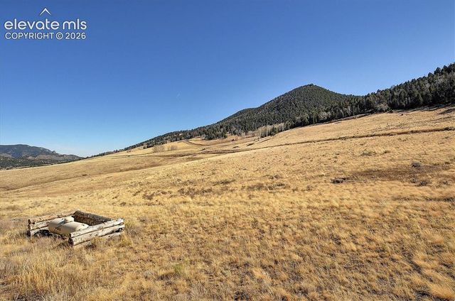 1115 Eagles Gate Road, Westcliffe, CO 81252