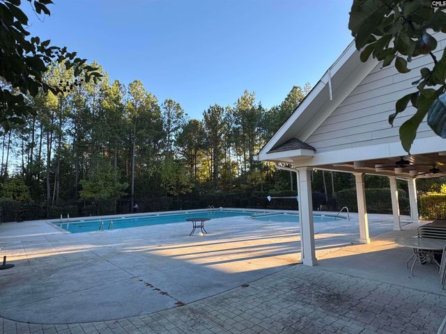 384 Explorer Drive, Chapin, SC 29036