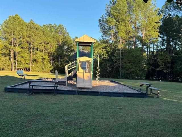 384 Explorer Drive, Chapin, SC 29036