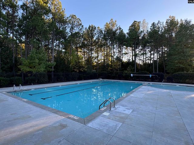 384 Explorer Drive, Chapin, SC 29036